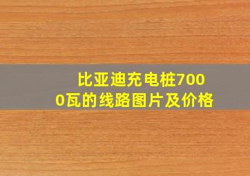 比亚迪充电桩7000瓦的线路图片及价格