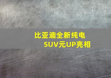 比亚迪全新纯电SUV元UP亮相