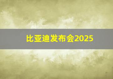 比亚迪发布会2025