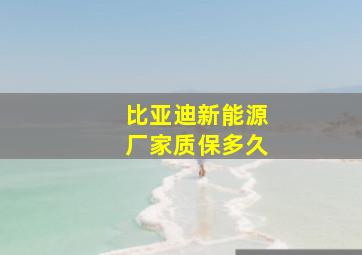 比亚迪新能源厂家质保多久