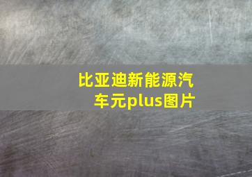 比亚迪新能源汽车元plus图片