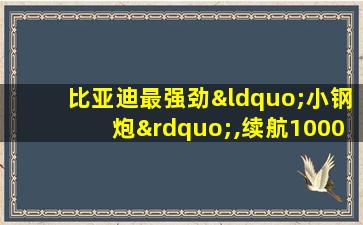 比亚迪最强劲“小钢炮”,续航1000km,2.9秒破百