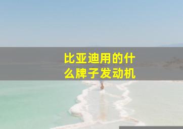 比亚迪用的什么牌子发动机