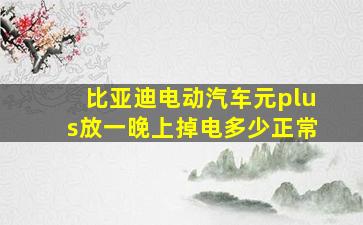 比亚迪电动汽车元plus放一晚上掉电多少正常