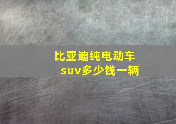 比亚迪纯电动车suv多少钱一辆