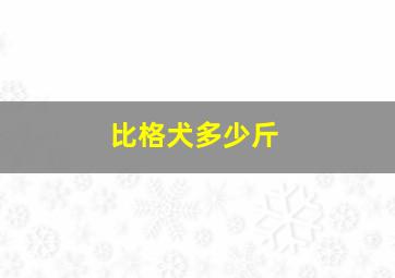 比格犬多少斤