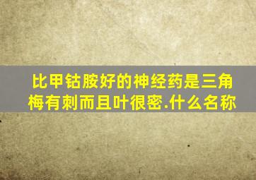 比甲钴胺好的神经药是三角梅有刺而且叶很密.什么名称