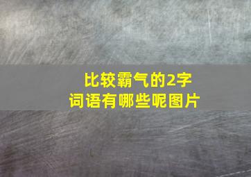 比较霸气的2字词语有哪些呢图片