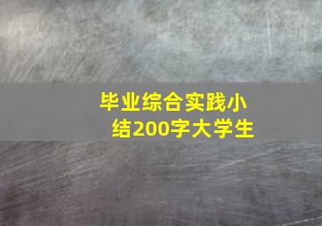 毕业综合实践小结200字大学生