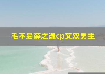 毛不易薛之谦cp文双男主