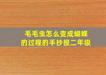 毛毛虫怎么变成蝴蝶的过程的手抄报二年级