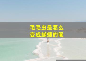 毛毛虫是怎么变成蝴蝶的呢