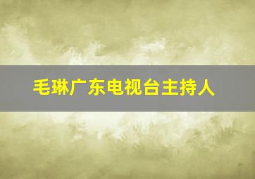 毛琳广东电视台主持人