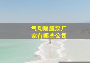 气动隔膜泵厂家有哪些公司