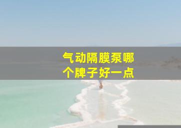 气动隔膜泵哪个牌子好一点