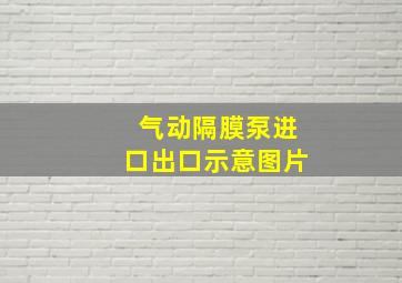 气动隔膜泵进口出口示意图片