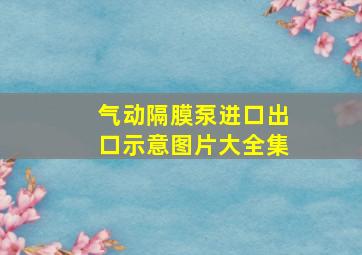 气动隔膜泵进口出口示意图片大全集