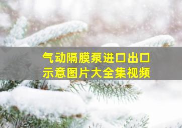 气动隔膜泵进口出口示意图片大全集视频