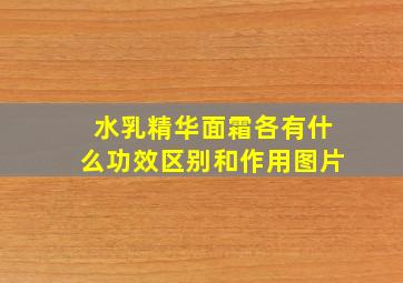 水乳精华面霜各有什么功效区别和作用图片