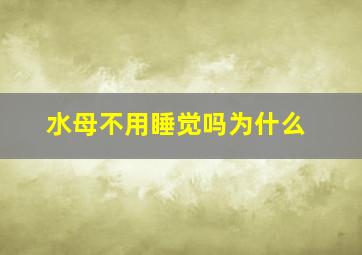 水母不用睡觉吗为什么