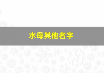 水母其他名字