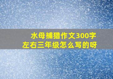 水母捕猎作文300字左右三年级怎么写的呀