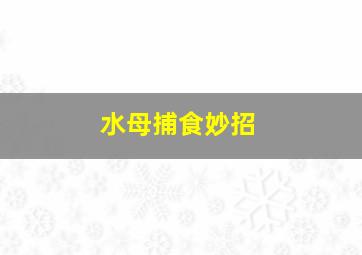 水母捕食妙招