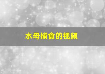 水母捕食的视频