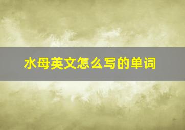 水母英文怎么写的单词