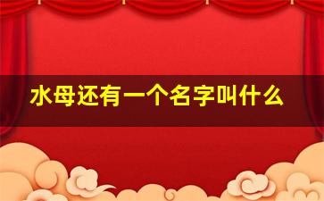 水母还有一个名字叫什么