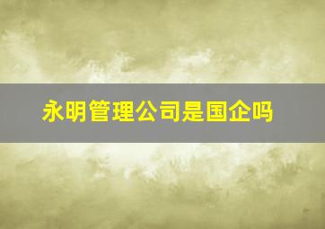 永明管理公司是国企吗