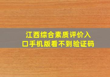 江西综合素质评价入口手机版看不到验证码