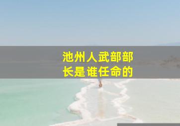 池州人武部部长是谁任命的