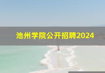 池州学院公开招聘2024