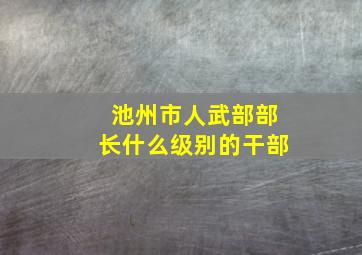 池州市人武部部长什么级别的干部