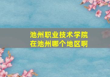 池州职业技术学院在池州哪个地区啊