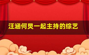 汪涵何炅一起主持的综艺