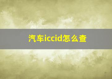 汽车iccid怎么查