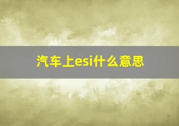 汽车上esi什么意思