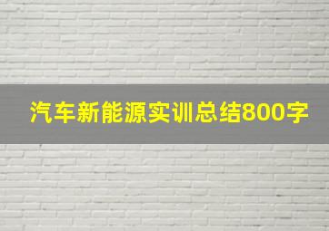 汽车新能源实训总结800字