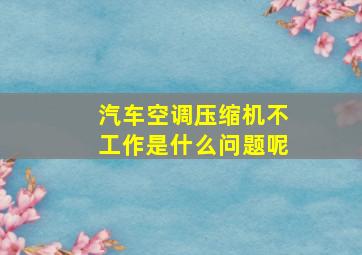 汽车空调压缩机不工作是什么问题呢