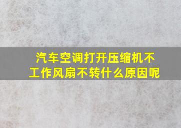 汽车空调打开压缩机不工作风扇不转什么原因呢