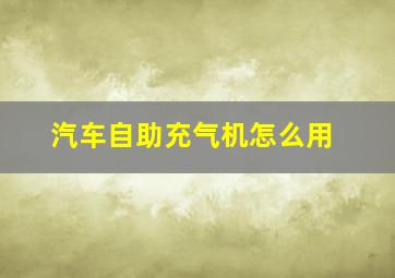 汽车自助充气机怎么用