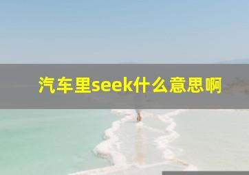 汽车里seek什么意思啊