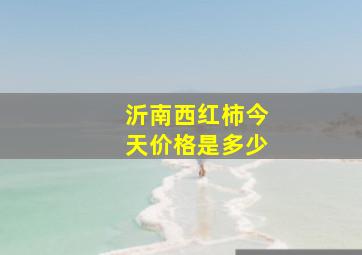 沂南西红柿今天价格是多少