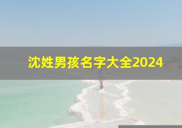 沈姓男孩名字大全2024