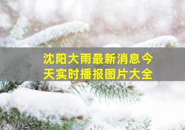 沈阳大雨最新消息今天实时播报图片大全