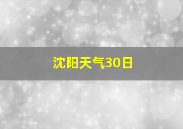 沈阳天气30日