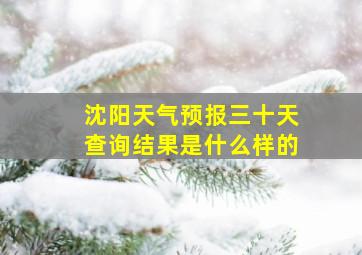 沈阳天气预报三十天查询结果是什么样的