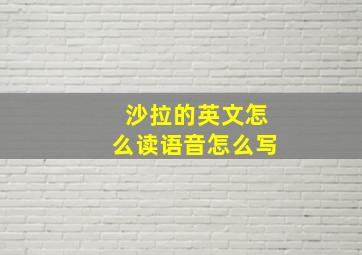 沙拉的英文怎么读语音怎么写